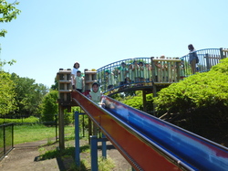 j 728.jpg